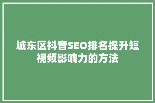 城东区抖音SEO排名提升短视频影响力的方法