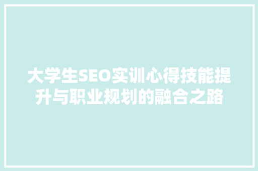 大学生SEO实训心得技能提升与职业规划的融合之路