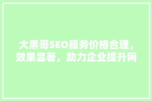 大黑哥SEO服务价格合理，效果显著，助力企业提升网络竞争力  第1张