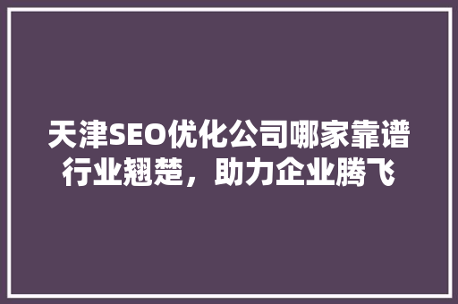 天津SEO优化公司哪家靠谱行业翘楚，助力企业腾飞