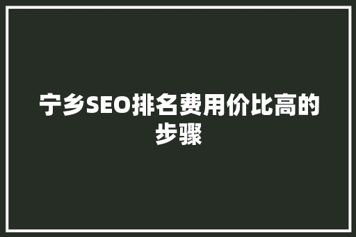 宁乡SEO排名费用价比高的步骤