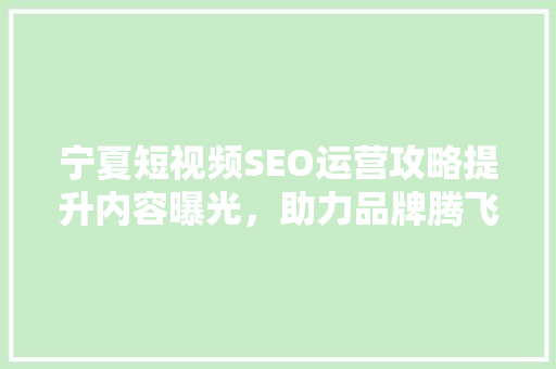 宁夏短视频SEO运营攻略提升内容曝光，助力品牌腾飞