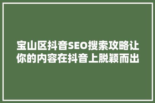 宝山区抖音SEO搜索攻略让你的内容在抖音上脱颖而出