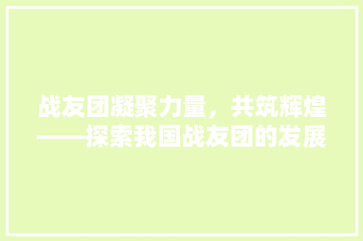 战友团凝聚力量，共筑辉煌——探索我国战友团的发展与影响