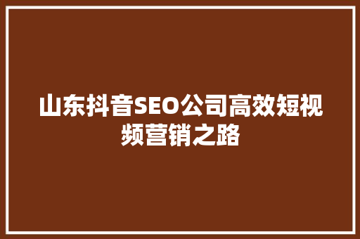 山东抖音SEO公司高效短视频营销之路