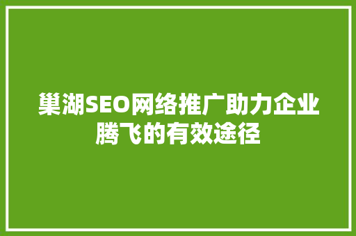 巢湖SEO网络推广助力企业腾飞的有效途径