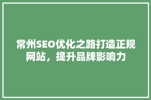 常州SEO优化之路打造正规网站，提升品牌影响力