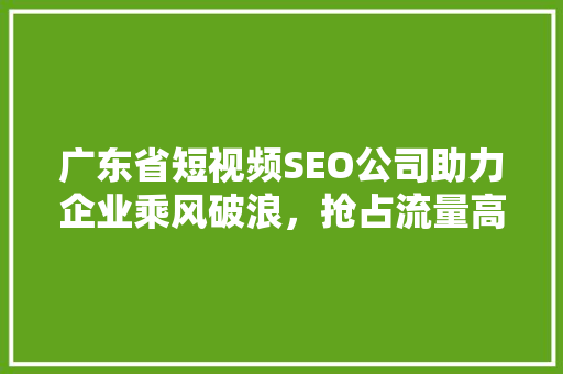 广东省短视频SEO公司助力企业乘风破浪，抢占流量高地
