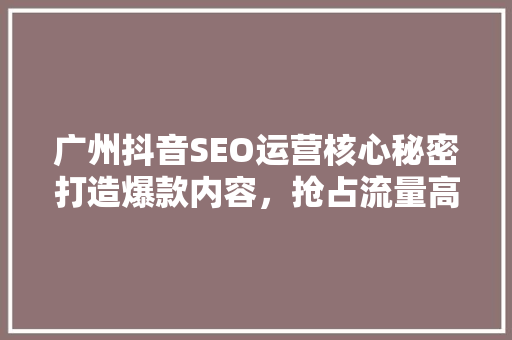 广州抖音SEO运营核心秘密打造爆款内容，抢占流量高地