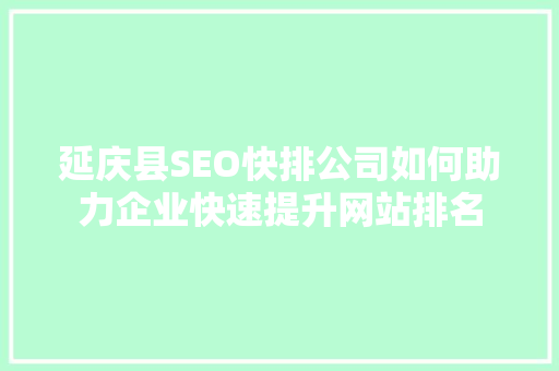 延庆县SEO快排公司如何助力企业快速提升网站排名