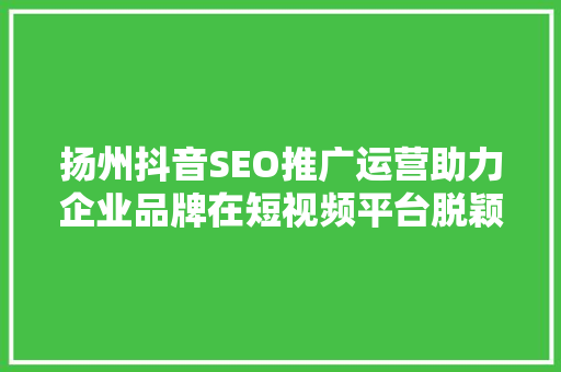 扬州抖音SEO推广运营助力企业品牌在短视频平台脱颖而出  第1张