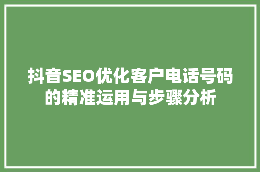 抖音SEO优化客户电话号码的精准运用与步骤分析