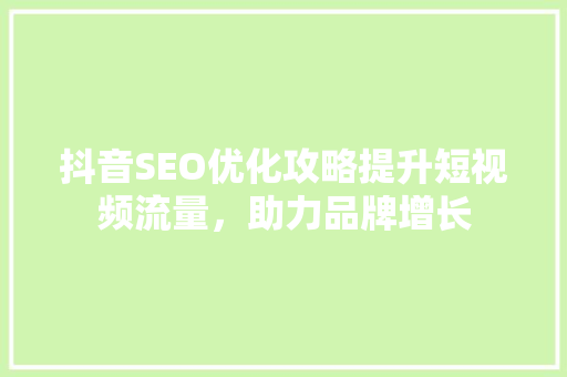 抖音SEO优化攻略提升短视频流量，助力品牌增长