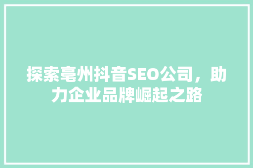 探索亳州抖音SEO公司，助力企业品牌崛起之路