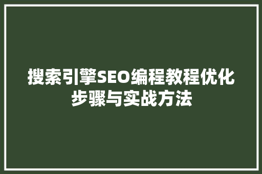 搜索引擎SEO编程教程优化步骤与实战方法