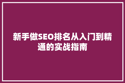 新手做SEO排名从入门到精通的实战指南