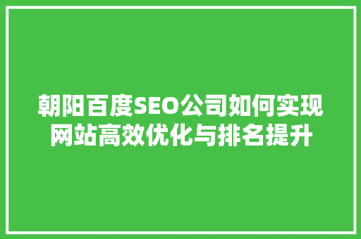 朝阳百度SEO公司如何实现网站高效优化与排名提升