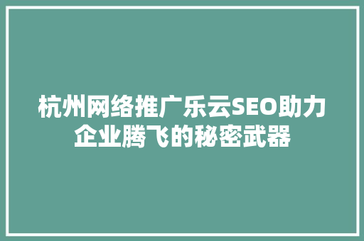 杭州网络推广乐云SEO助力企业腾飞的秘密武器