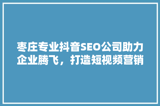 枣庄专业抖音SEO公司助力企业腾飞，打造短视频营销新高度