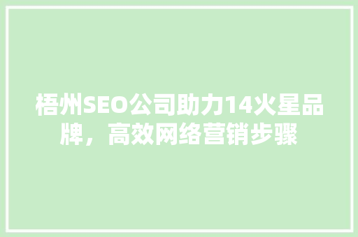 梧州SEO公司助力14火星品牌，高效网络营销步骤