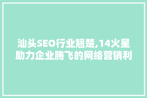 汕头SEO行业翘楚,14火星助力企业腾飞的网络营销利器