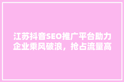 江苏抖音SEO推广平台助力企业乘风破浪，抢占流量高地
