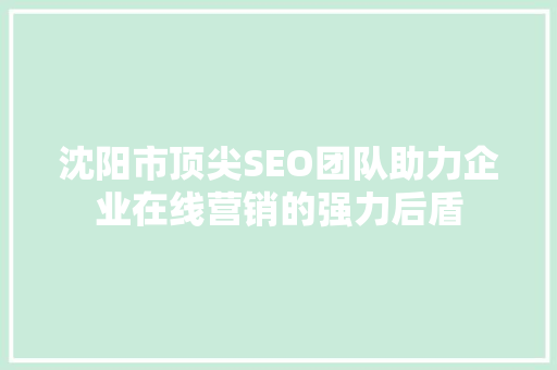 沈阳市顶尖SEO团队助力企业在线营销的强力后盾