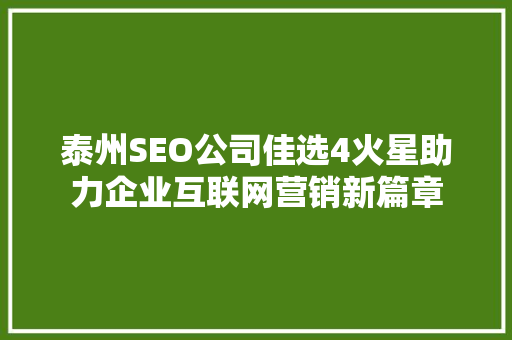 泰州SEO公司佳选4火星助力企业互联网营销新篇章
