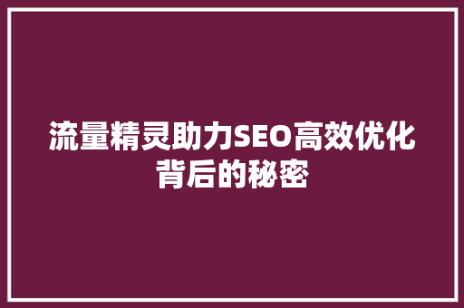 流量精灵助力SEO高效优化背后的秘密