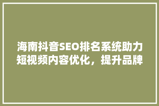 海南抖音SEO排名系统助力短视频内容优化，提升品牌影响力