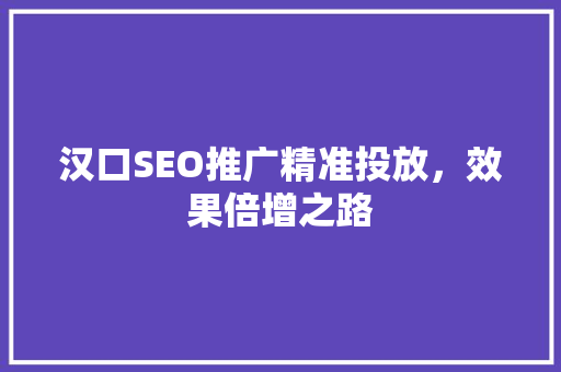 汉口SEO推广精准投放，效果倍增之路