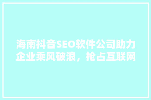 海南抖音SEO软件公司助力企业乘风破浪，抢占互联网营销新风口