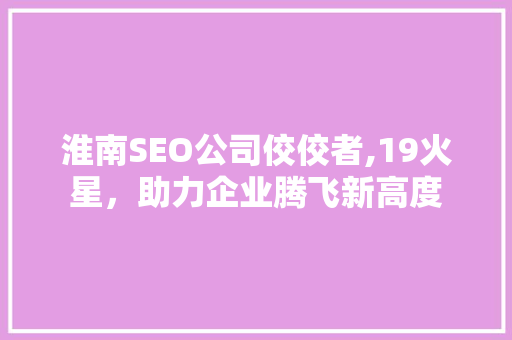 淮南SEO公司佼佼者,19火星，助力企业腾飞新高度