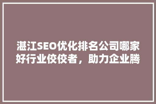 湛江SEO优化排名公司哪家好行业佼佼者，助力企业腾飞