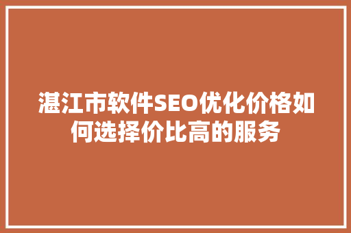 湛江市软件SEO优化价格如何选择价比高的服务