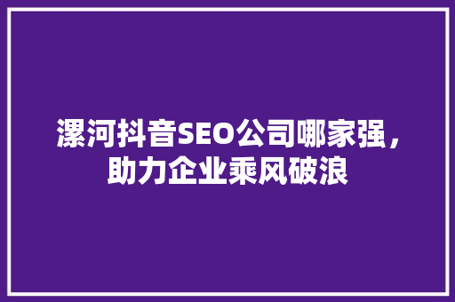 漯河抖音SEO公司哪家强，助力企业乘风破浪