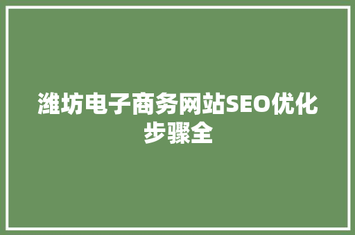 潍坊电子商务网站SEO优化步骤全
