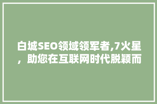 白城SEO领域领军者,7火星，助您在互联网时代脱颖而出
