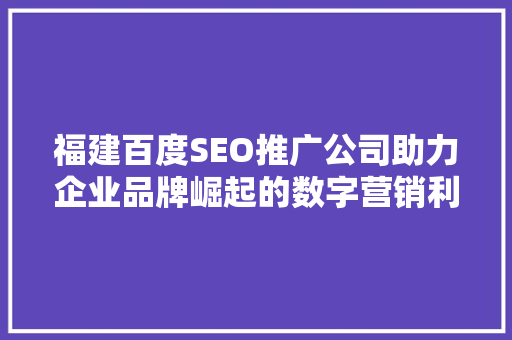 福建百度SEO推广公司助力企业品牌崛起的数字营销利器  第1张