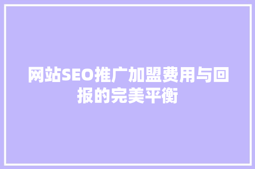 网站SEO推广加盟费用与回报的完美平衡