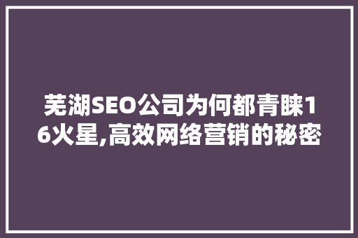 芜湖SEO公司为何都青睐16火星,高效网络营销的秘密武器