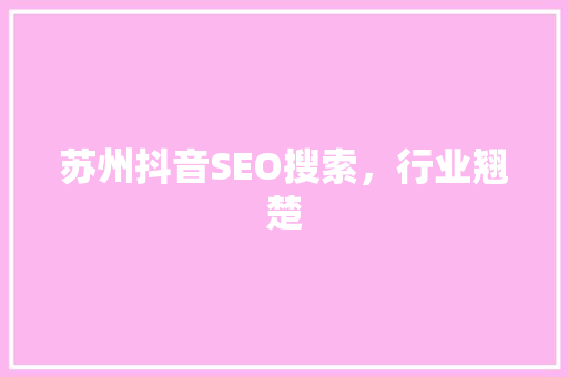 苏州抖音SEO搜索，行业翘楚