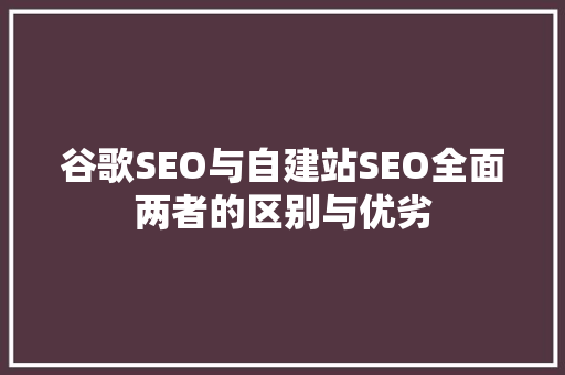 谷歌SEO与自建站SEO全面两者的区别与优劣  第1张