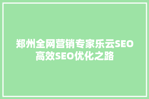 郑州全网营销专家乐云SEO高效SEO优化之路