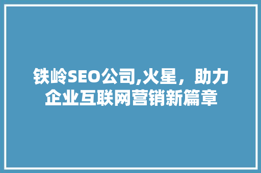 铁岭SEO公司,火星，助力企业互联网营销新篇章