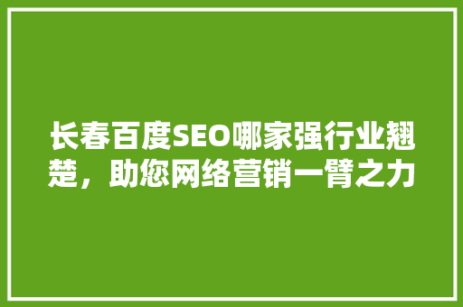 长春百度SEO哪家强行业翘楚，助您网络营销一臂之力