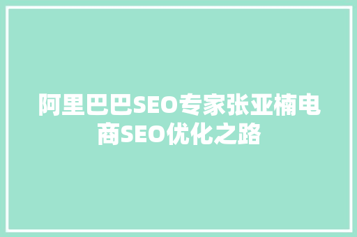 阿里巴巴SEO专家张亚楠电商SEO优化之路