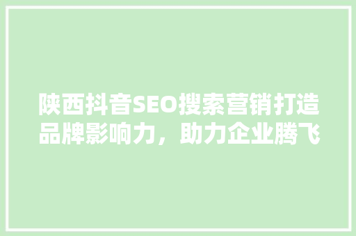 陕西抖音SEO搜索营销打造品牌影响力，助力企业腾飞