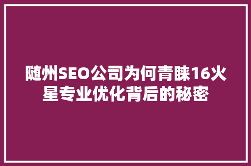 随州SEO公司为何青睐16火星专业优化背后的秘密