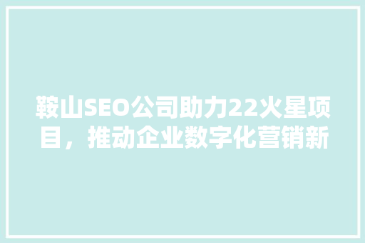 鞍山SEO公司助力22火星项目，推动企业数字化营销新篇章